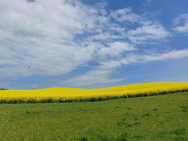 Hadrian’s Wall Path (Oost naar West)